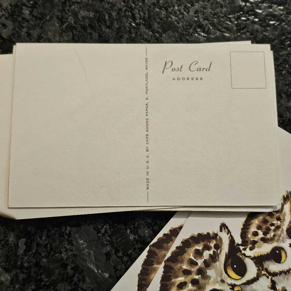 Vtg Thayer Kitschy Owls Big Eyes 16 Post Cards Picture Art 70's MCM Maine USA‎